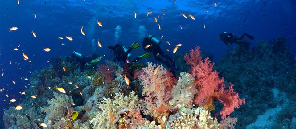 Orange Bay Sea Trip With Diving Hurghada