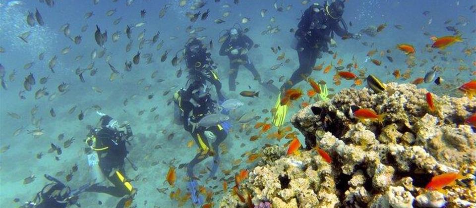 Orange Bay Sea Trip With Diving Hurghada