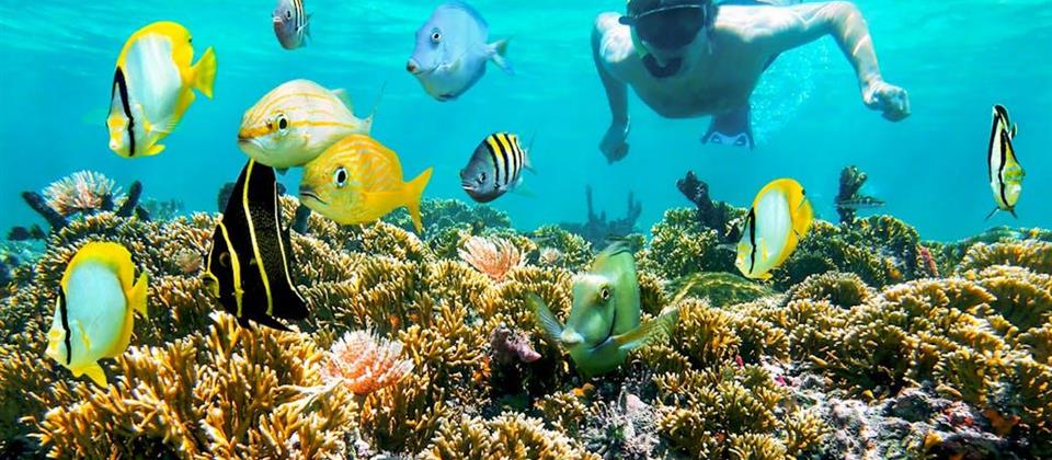 Orange Bay Sea Trip Hurghada