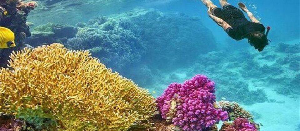 Orange Bay Sea Trip Hurghada
