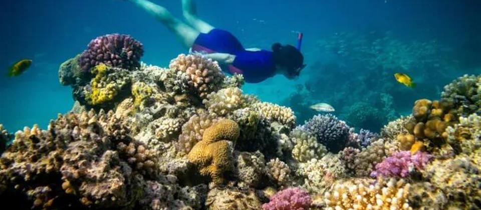 Orange Bay Sea Trip Hurghada