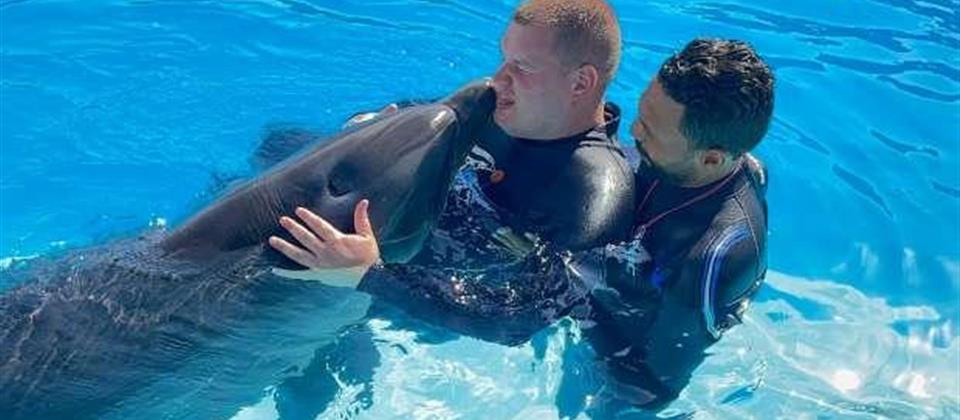 DOLPHIN SHOW - SSH 