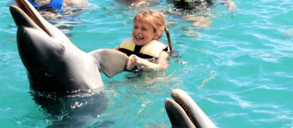 DOLPHIN SHOW - SSH 